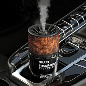 Car Air Freshener Perfume Diffuser