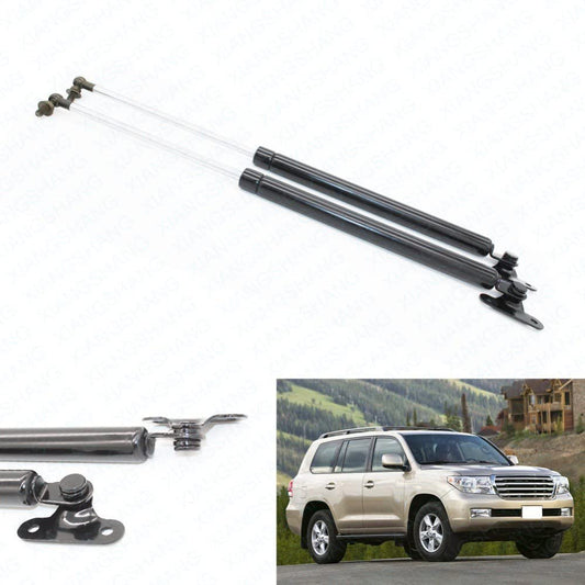 Trunk Tailgate Dampers (Trunk Shocks)