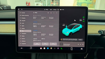 Tesla Model Y Standard Package 2022