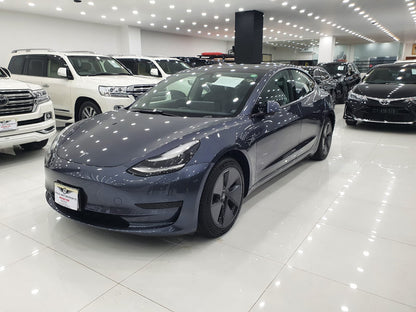 Tesla Model 3 Standard Range Plus Model 2021